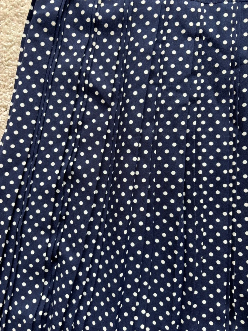 J. Crew Navy and White Polka Dot Skater Skirt